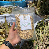 Organic Non-GMO Adlai Seeds (Ready to Plant Ginampay Variety)