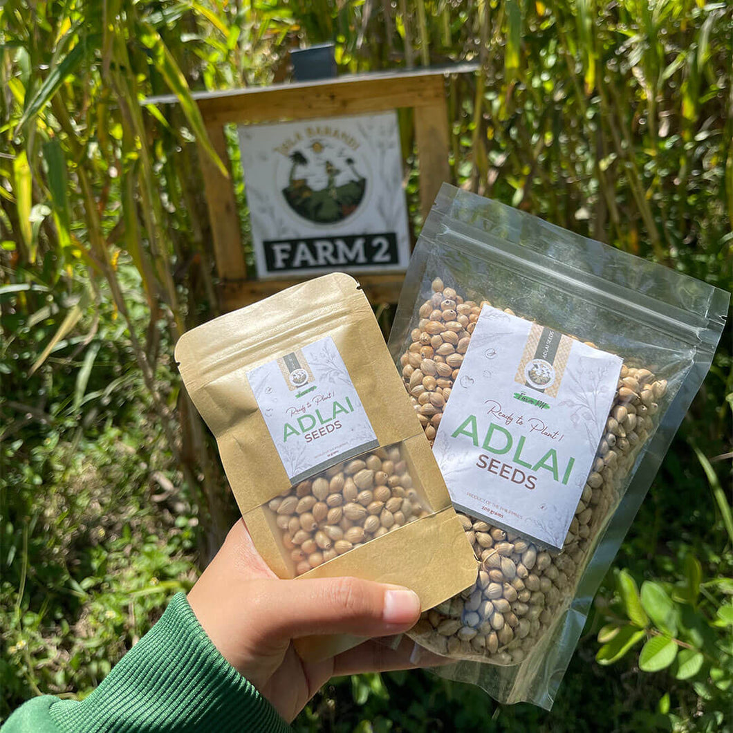 Organic Non-GMO Adlai Seeds (Ready to Plant Ginampay Variety)